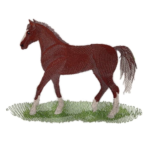 Beyond Vision Custom Horse [ Morgan Horse ] Embroidered Iron on/Sew Patch (6.48" x 5.31")