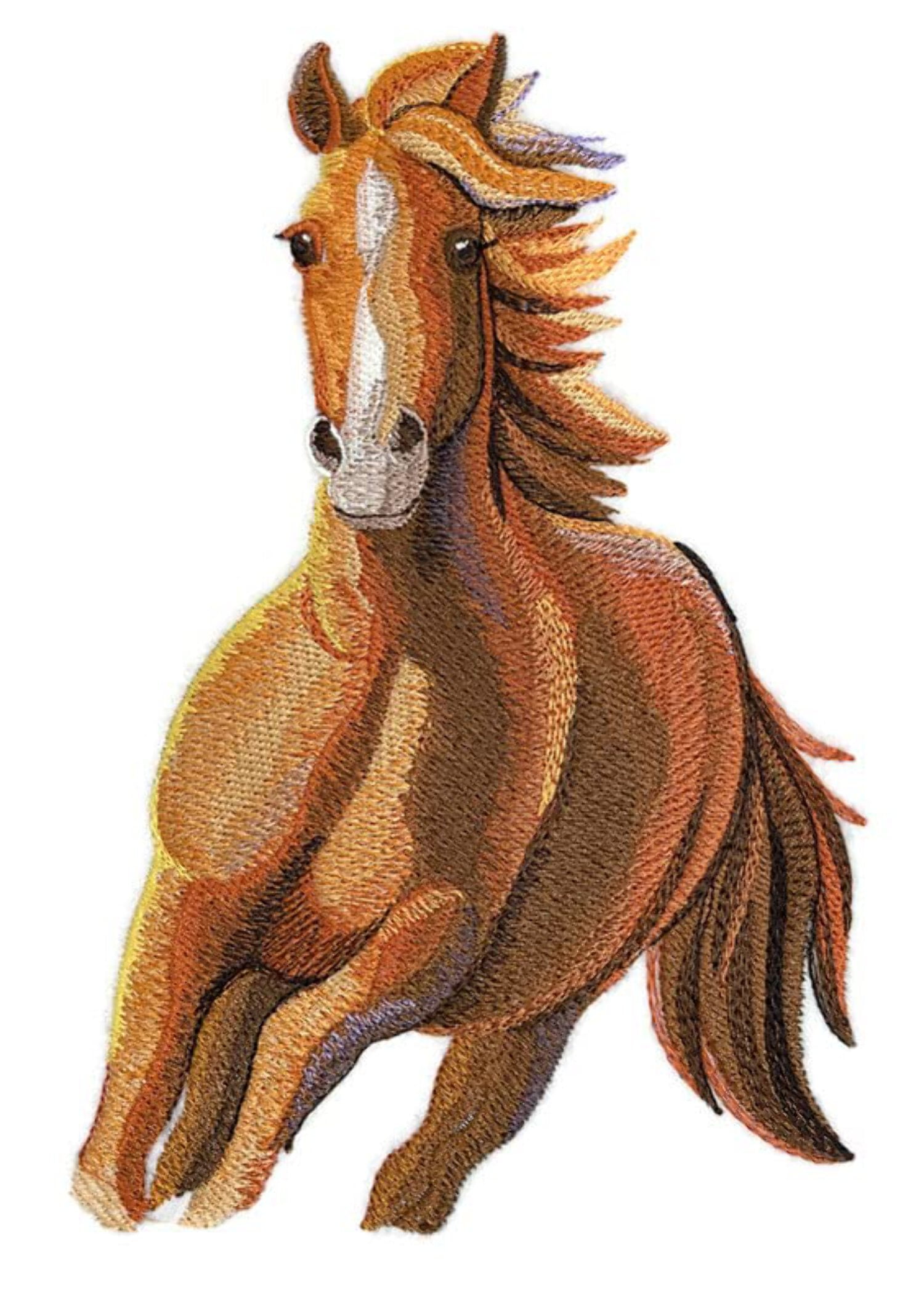 Beyond Vision Custom Horse [Run Wild Stallion ] Embroidered Iron on/Sew Patch (5.22" x 7.8")