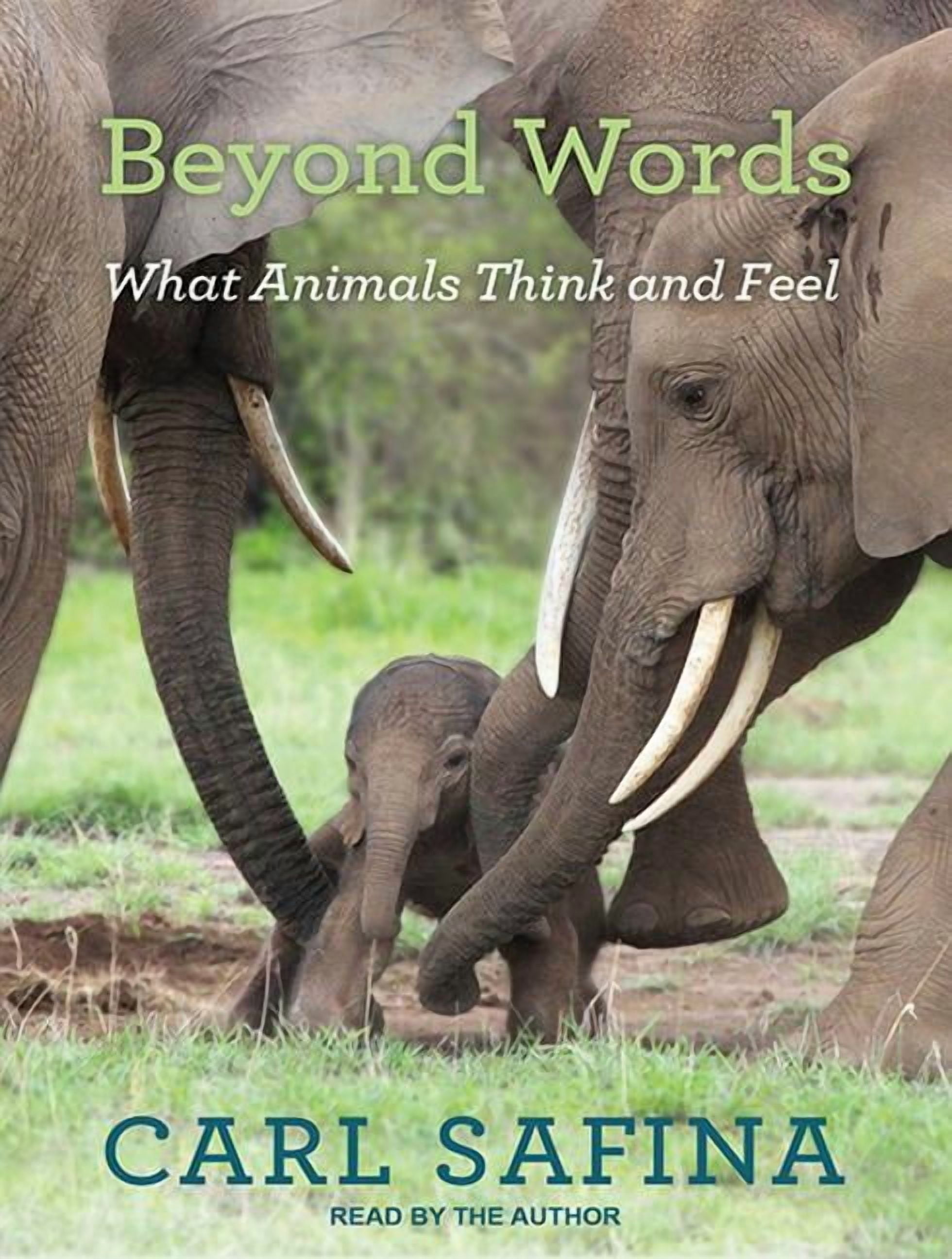 Beyond Words: What Animals Think and Feel (Audiobook)