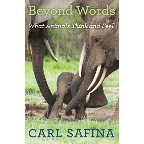 Pre-Owned Beyond Words: What Animals Think and Feel (Hardcover) 0805098887 9780805098884
