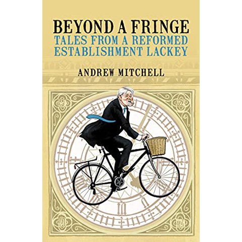 Pre-Owned Beyond a Fringe: Tales from a reformed Establishment lackey Paperback