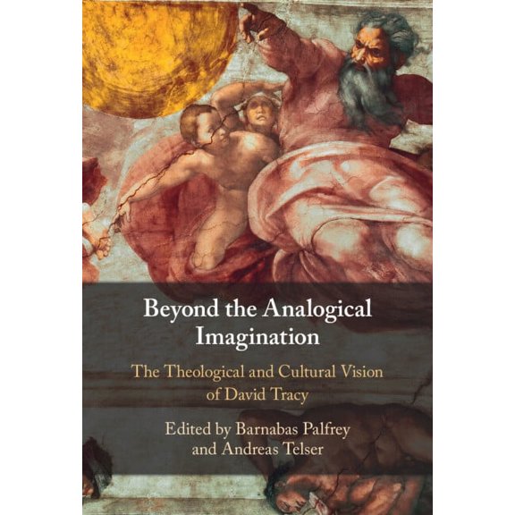 Beyond the Analogical Imagination, (Hardcover)