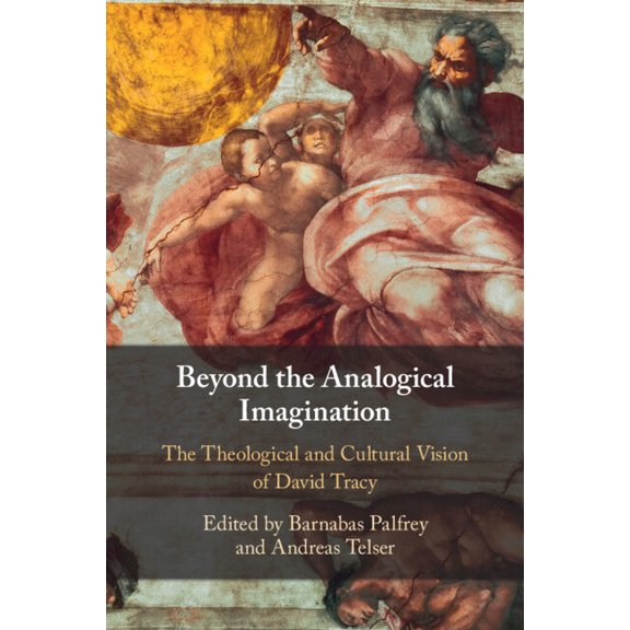 Beyond the Analogical Imagination, (Paperback)