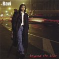 thumbnail image 1 of Beyond the Blur, 1 of 1