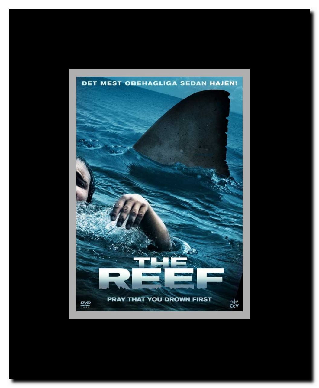 Beyond the Reef Framed Movie Poster