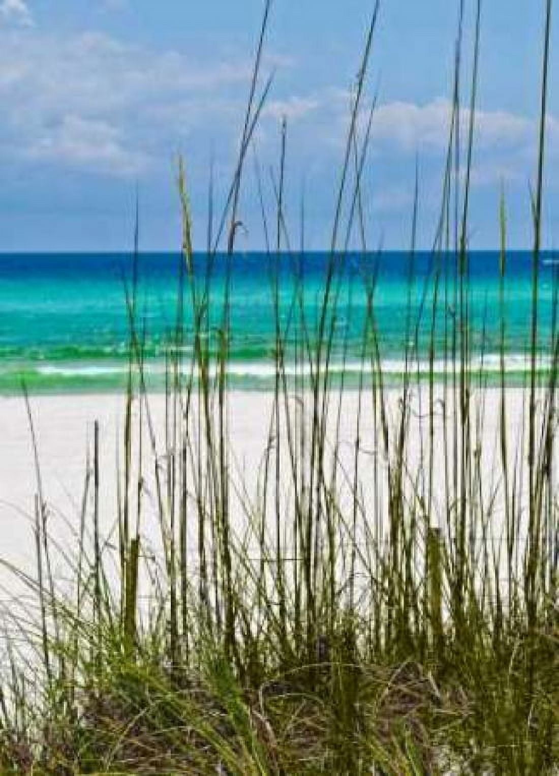 Beyond the Sea Oats I Canvas Art - Lillian Turner (18 x 24)