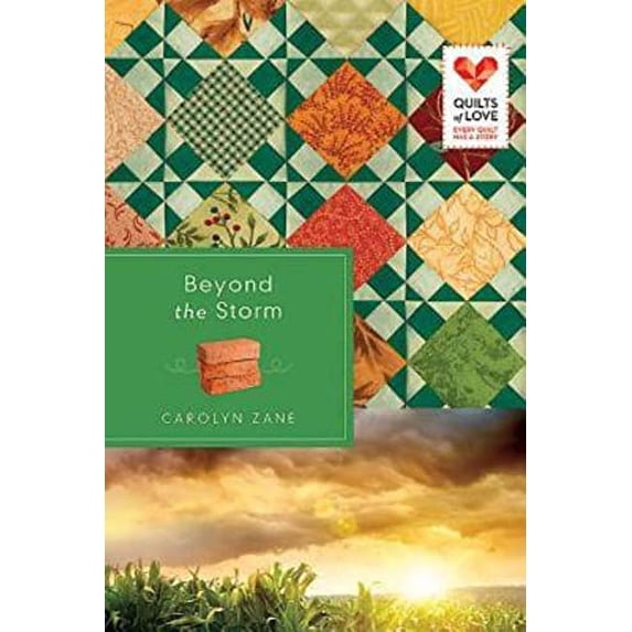 Pre-Owned Beyond the Storm (Paperback) 1426745974 9781426745973