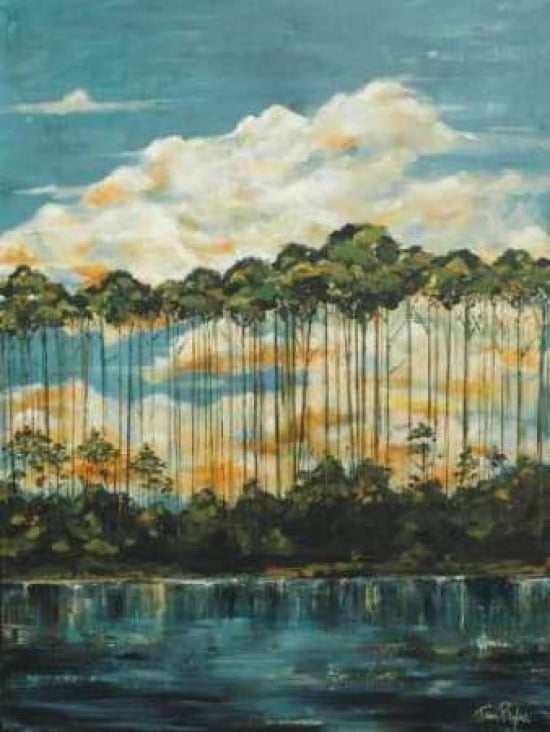 Beyond the Trees Canvas Art - Tana Plyler (22 x 28)