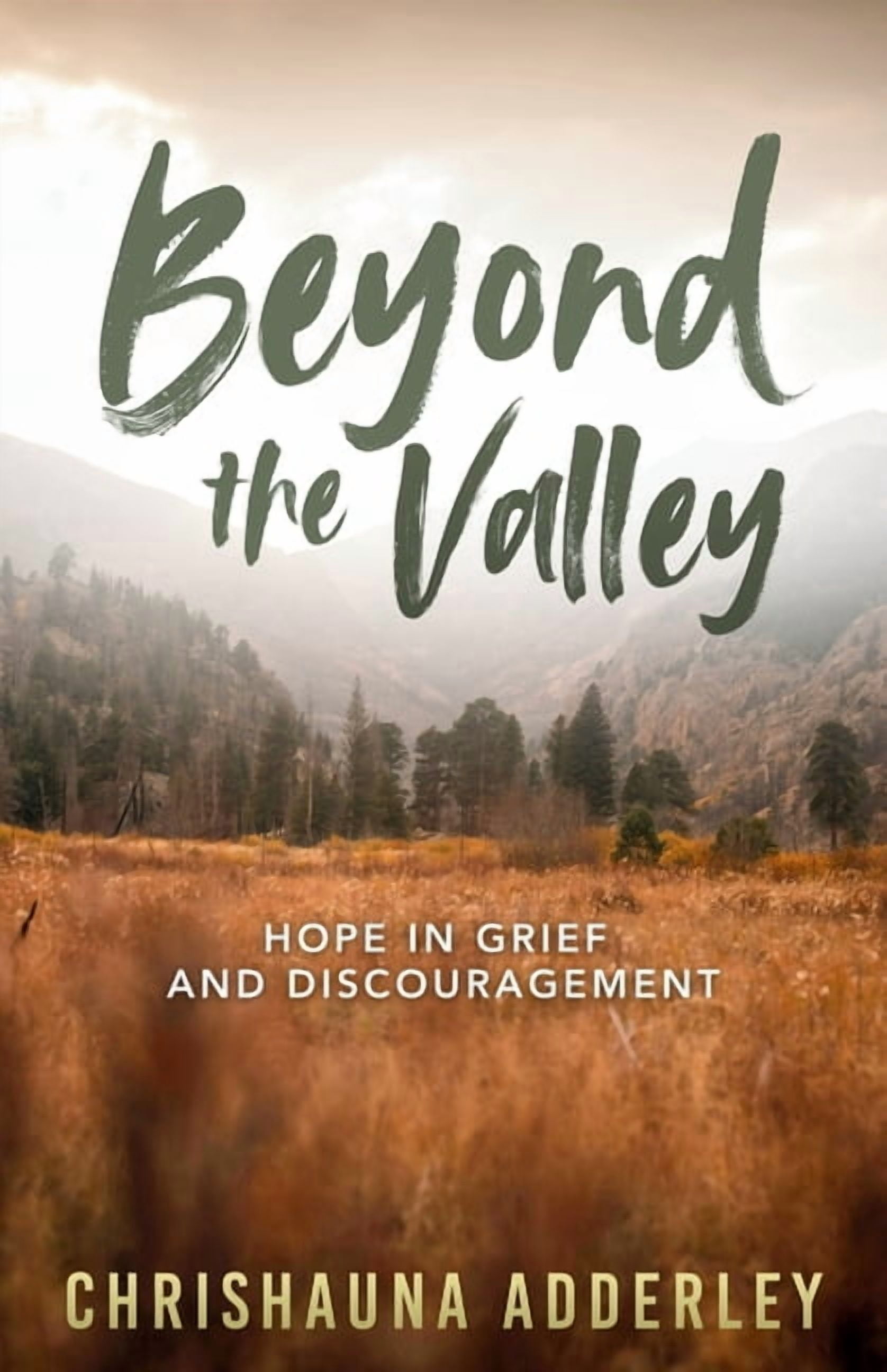 Beyond the Valley, (Paperback)