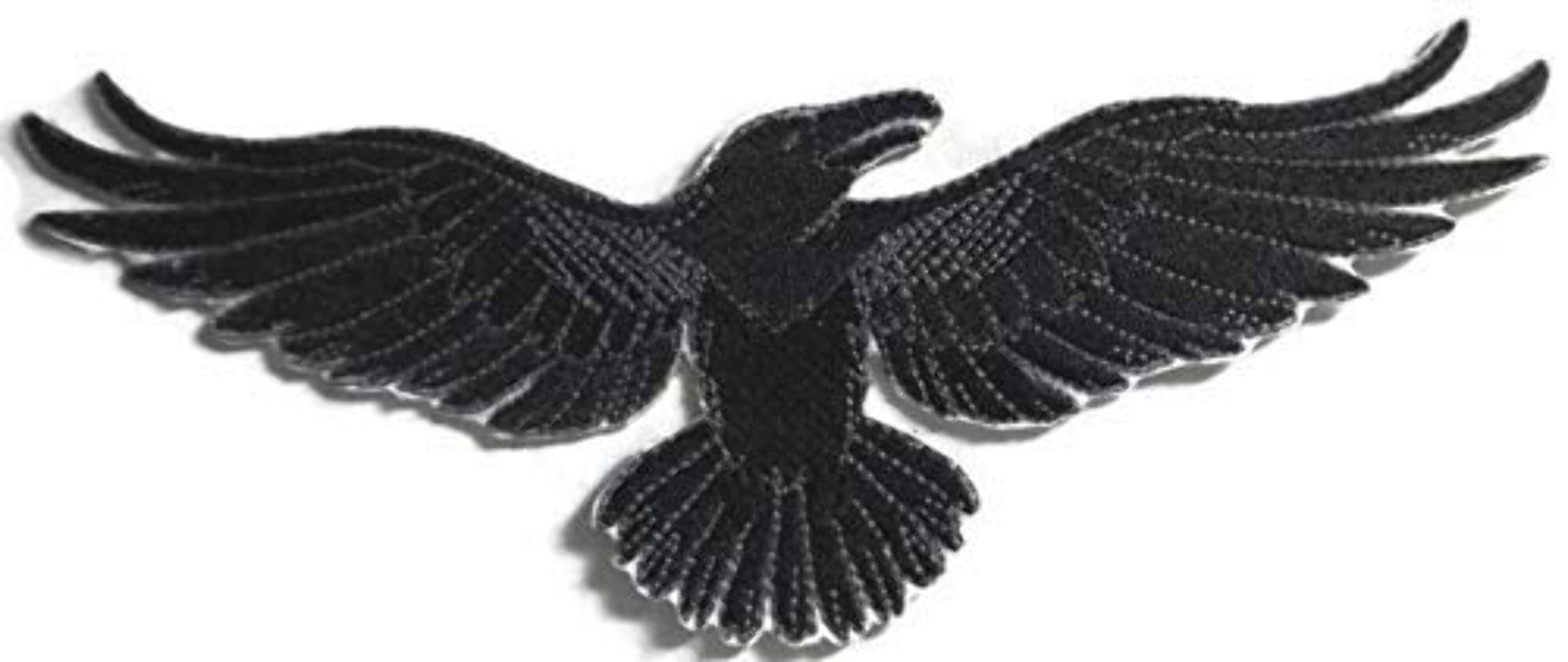BeyondVision Custom and Unique Happy Halloween [Wild Side Raven] Embroidered Iron on/Sew Patch [8.1x5]