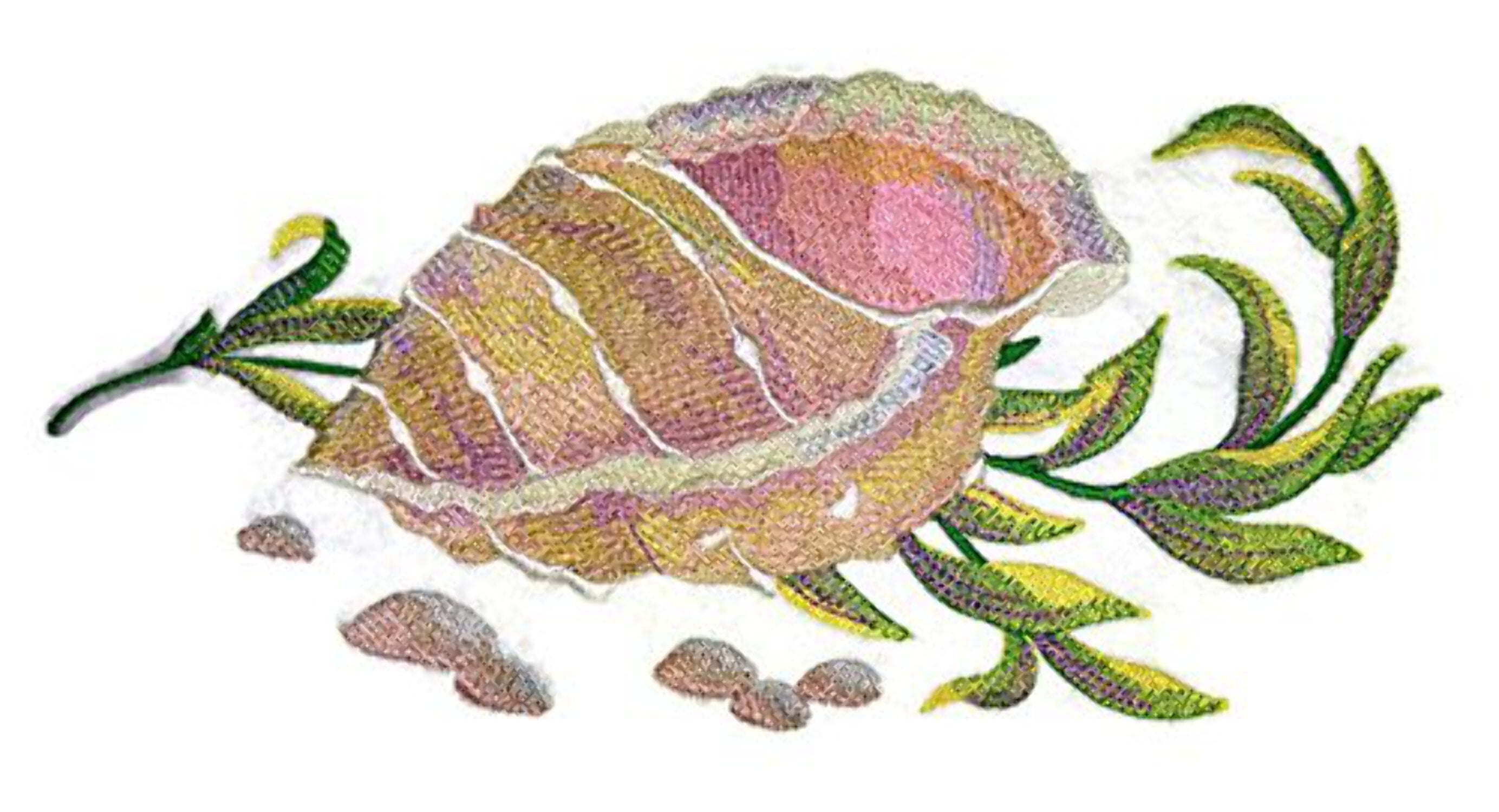 BeyondVision Ocean Calling Custom And Unique[ Sea shell in Watercolor ] Embroidered Iron On/Sew patch [9.4" x5"]
