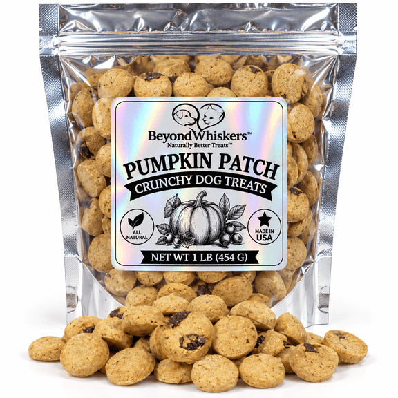 BeyondWhiskers Pumpkin Patch Crunchy Dog Treats, Made in USA, 1 lb