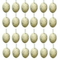 thumbnail image 1 of Bfogop 24 Charming White Speckled Easter Eggs with Hanging Loops Easter Decorations Pastel Decor, Decor Eggs for Outdoor Use Table Decor DIY Spring Displays and Easter Decor 1.6 Inch, 1 of 6