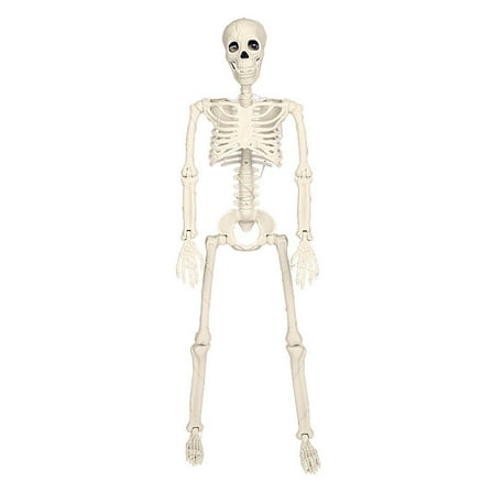 Bfogop Halloween Skeleton with Light - 16" Skeletons with Full Body Movable Joints, Indoor and Outdoor Spooky Décor for Halloween Parties, Haunted Houses, and Yard Decorations