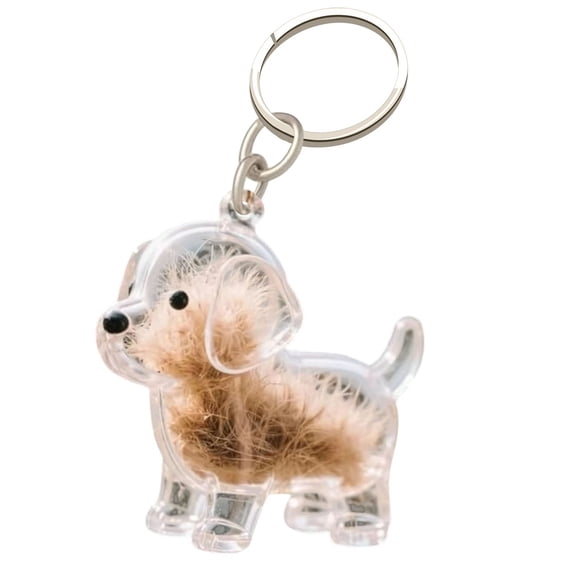 Bfogop Keychain for Collecting Cat and Dog Hair,Cat Hair Storage Capsules,Transparent Cats Hairs Storage Bottle,Pet Memorial Gift, DIY Pet Furs Collection Keychain, Pet Fur Keepsake