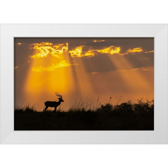 Bhatia, Yogesh 18x13 White Modern Wood Framed Museum Art Print Titled - Rays Of Divinity