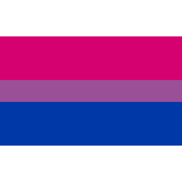 Bi Pride Flag Bisexual Banner Gay Lesbian LGBT 3x5 Rainbow Festival Pennant