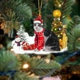 thumbnail image 1 of BiFandian Cat Acrylic Christmas Hanging Ornament, Festive Holiday Cat with Santa Hat and Scarf, Animal Christmas Ornaments, Cats Xmas Decor Tree Hanging, Kitten Christmas Decoration, 1 of 3