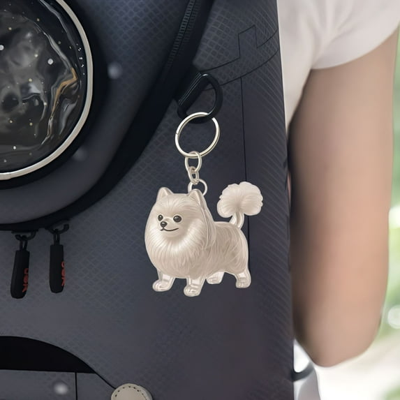 BiFandian Dog Hair Memorial Keychains, Transparent Pet Fur Keepsake Keychain, Dog Hair Collector Key Pendant, Cute Decorative Accessory for Dog Lovers