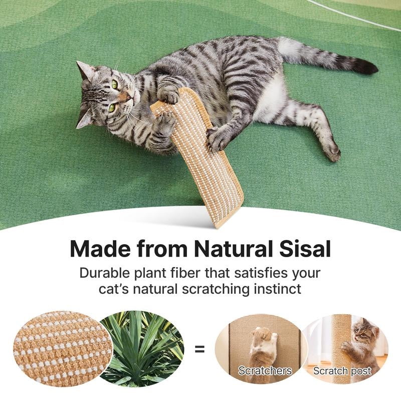 Photo inspiration: Catnip And Engaging Cat Games Reference: Bifandian Interactive Cat Toy With Catnip Plush Biting Pillow For