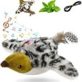 thumbnail image 1 of BiFandian Interactive Chirping Bird Toy, Remote Control Flapping Flying Toy, Simulation Bird with Sound for Play, Indoor Entertainment, Gift, 1 of 1