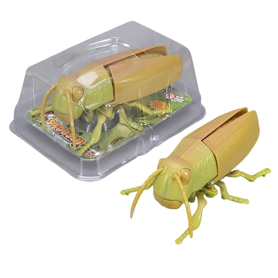 BiFandian Realistic Detailed Insect Toy Collection, Interactive Bug Figures for Playful Entertainment, Durable Play Models for Indoor and Outdoor Leisure Fun