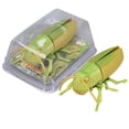 thumbnail image 1 of BiFandian Realistic Detailed Insect Toy Collection, Interactive Bug Figures for Playful Entertainment, Durable Play Models for Indoor and Outdoor Leisure Fun, 1 of 8