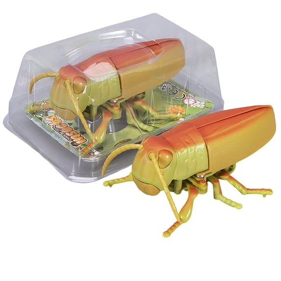 BiFandian Realistic Detailed Insect Toy Collection, Interactive Bug Figures for Playful Entertainment, Durable Play Models for Indoor and Outdoor Leisure Fun