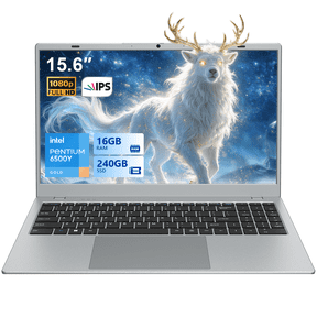 BiTECOOL 15.6" Slim Laptop with 16GB RAM 240GB SSD, Intel Pentium Gold 6500Y, WiFi 5 BT5.0, Type-C Fast Charging, Business Laptop for Work, Online Classes & Home Use