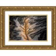 thumbnail image 1 of Bian, James 14x11 Gold Ornate Wood Framed with Double Matting Museum Art Print Titled - Magic Land -- An Aerial Abstract, 1 of 4