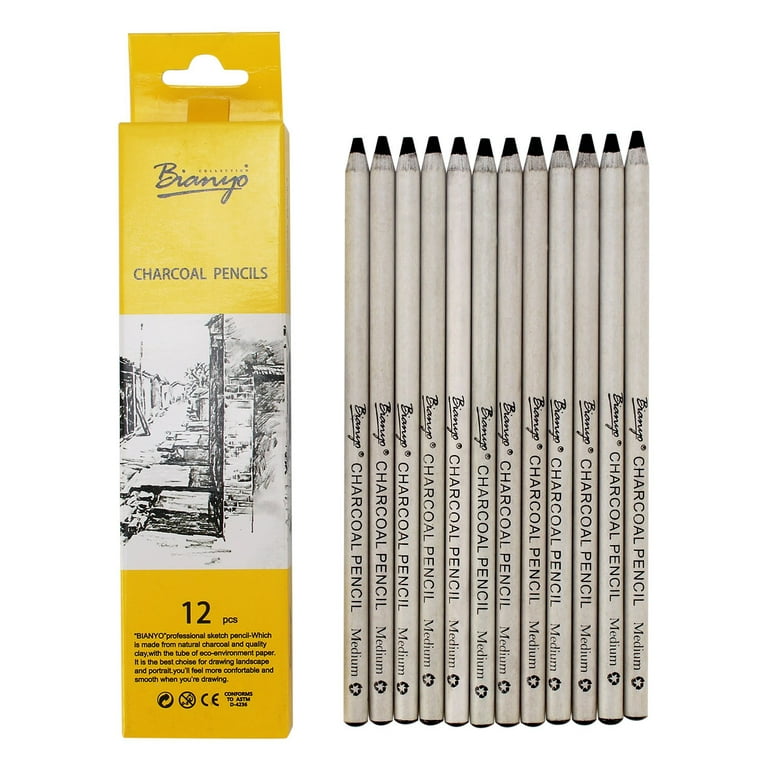 Bianyo Black Charcoal Pencils - 12 Piece Set (Medium) 