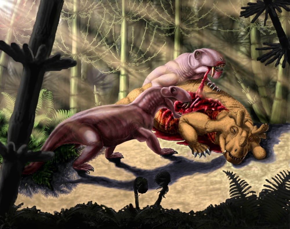 Biarmosuchus predators eating the flesh of a Estemmenosuchus Canvas Art - Yuriy PriymakStocktrek Images (16 x 13)