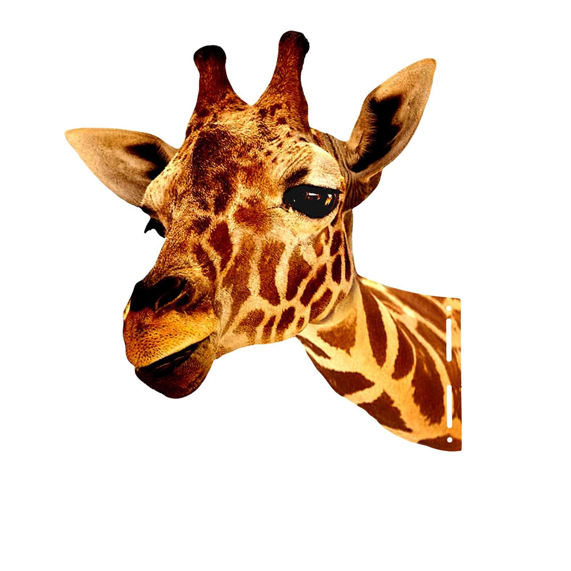 Biayxms Peeping Animal Metal Art,Farm Peeping Cow Horse Fence Metal Art