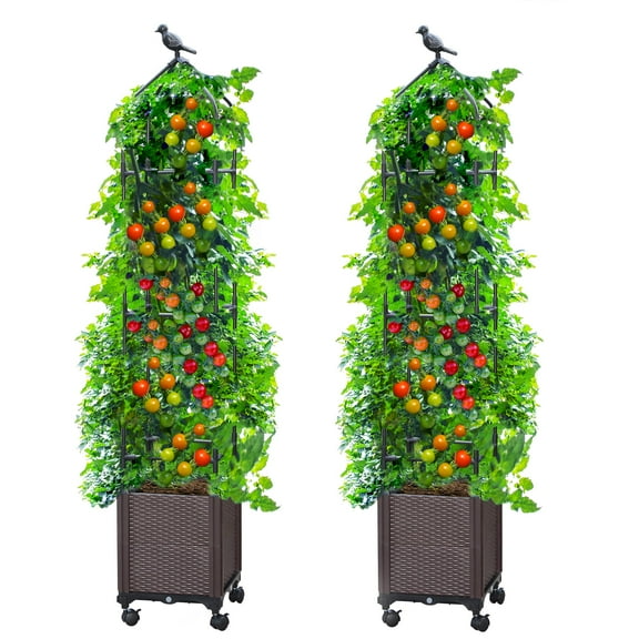 Bibana 2 PCS Raised Garden Bed Planter Box with Trellis, 63" Tall Outdoor Tomato Planters for Climbing Vegetables Flowers Vine Plants, Tomato Cage with Wheels (2)