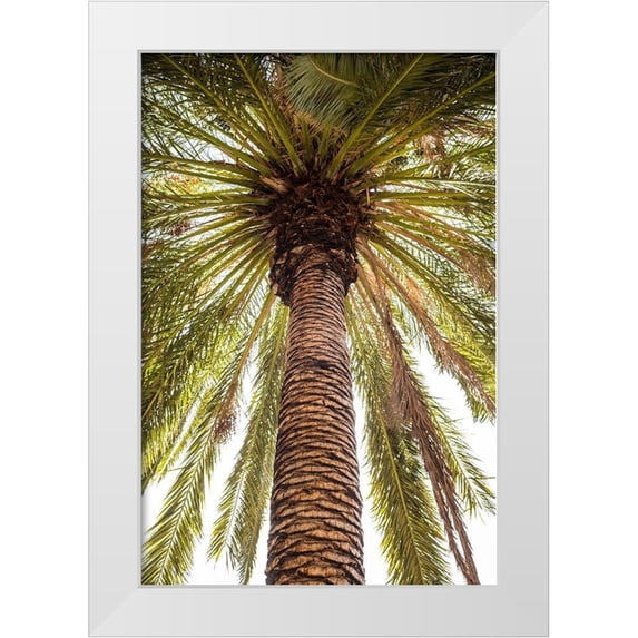 Bibikow, Walter 11x14 White Modern Wood Framed Museum Art Print Titled - Canary Islands-Tenerife Island-Masca-palm tree