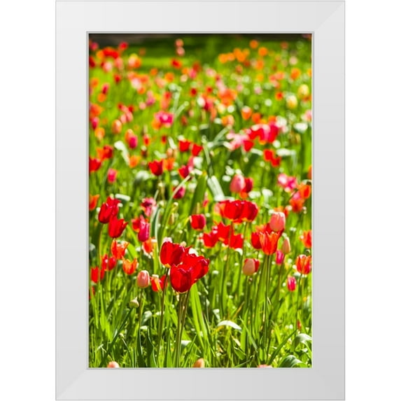 Bibikow, Walter 11x14 White Modern Wood Framed Museum Art Print Titled - Sweden-Oland Island-Borgholm-Solliden Slott palace-Swedish Royal Family summer palace-palace garden
