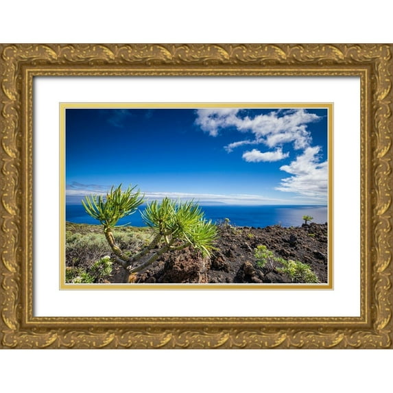 Bibikow, Walter 14x11 Gold Ornate Wood Framed with Double Matting Museum Art Print Titled - Canary Islands-La Palma Island-Fuencaliente de la Palma-Punta de Fuencaliente-volcanic landscape