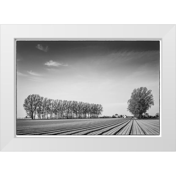 Bibikow, Walter 14x11 White Modern Wood Framed Museum Art Print Titled - Southern Sweden-Kaseberga-plowed field-springtime
