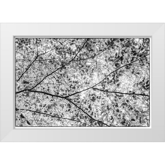 Bibikow, Walter 14x11 White Modern Wood Framed Museum Art Print Titled - Sweden-Scania-Molle-Krapperups Slott castle-ancient home of the Gyllenstierna family-public garden-