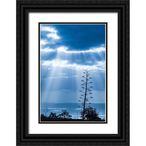Bibikow, Walter 17x24 Black Ornate Wood Framed with Double Matting Museum Art Print Titled - Canary Islands-La Palma Island-Santa Cruz de la Palma-dramatic sky and tree