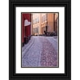 thumbnail image 1 of Bibikow, Walter 17x24 Black Ornate Wood Framed with Double Matting Museum Art Print Titled - Sweden-Stockholm-Gamla Stan-Old Town-Royal Palace-old town street, 1 of 4