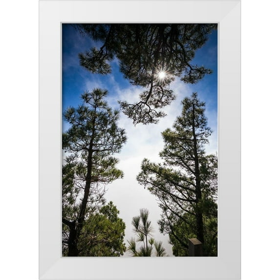 Bibikow, Walter 17x24 White Modern Wood Framed Museum Art Print Titled - Canary Islands-El Hierro Island-Mirador de las Playas-elevated view of the east coast with fog