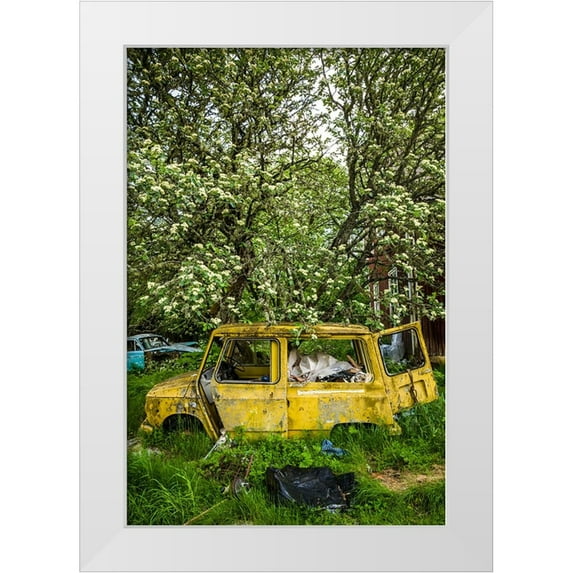 Bibikow, Walter 17x24 White Modern Wood Framed Museum Art Print Titled - Sweden-Varmland-Bastnas-Bastnas Car Cemetery public park-antique car junkyard