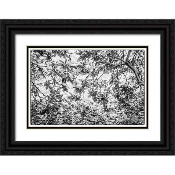 Bibikow, Walter 18x13 Black Ornate Wood Framed with Double Matting Museum Art Print Titled - Sweden-Scania-Molle-Krapperups Slott castle-ancient home of the Gyllenstierna family-public garden-