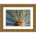 thumbnail image 1 of Bibikow, Walter 18x13 Gold Ornate Wood Framed with Double Matting Museum Art Print Titled - Canary Islands-Fuerteventura Island-Morro Jable-Playa del Matorral beach-palm tree, 1 of 4