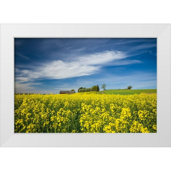 Bibikow, Walter 18x13 White Modern Wood Framed Museum Art Print Titled - Sweden-Bergs Slussar-springtime landscape