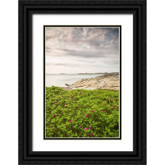 Bibikow, Walter 23x32 Black Ornate Wood Framed with Double Matting Museum Art Print Titled - Sweden-Bohuslan-Salto Island-rocky cove seascape