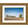 thumbnail image 1 of Bibikow, Walter 24x17 Gold Ornate Wood Framed with Double Matting Museum Art Print Titled - Southern Sweden-Kaseberga-plowed field-springtime, 1 of 4