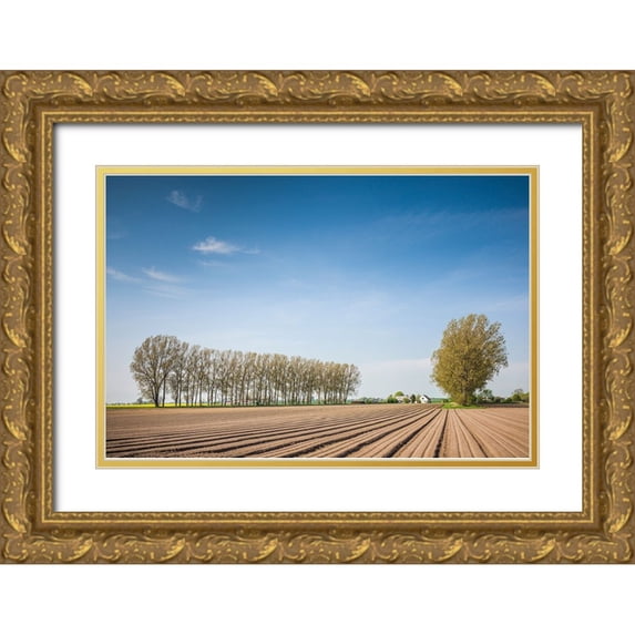 Bibikow, Walter 24x17 Gold Ornate Wood Framed with Double Matting Museum Art Print Titled - Southern Sweden-Kaseberga-plowed field-springtime