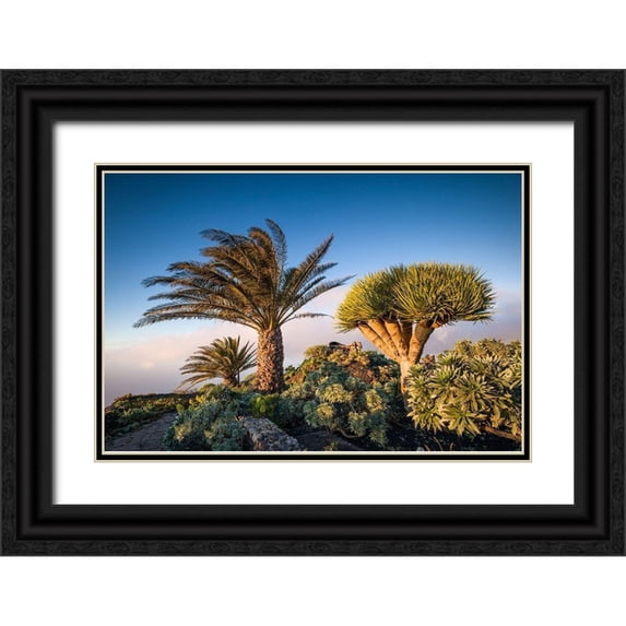 Bibikow, Walter 32x23 Black Ornate Wood Framed with Double Matting Museum Art Print Titled - Canary Islands-El Hierro Island-Guarazoca-Mirador de la Pena